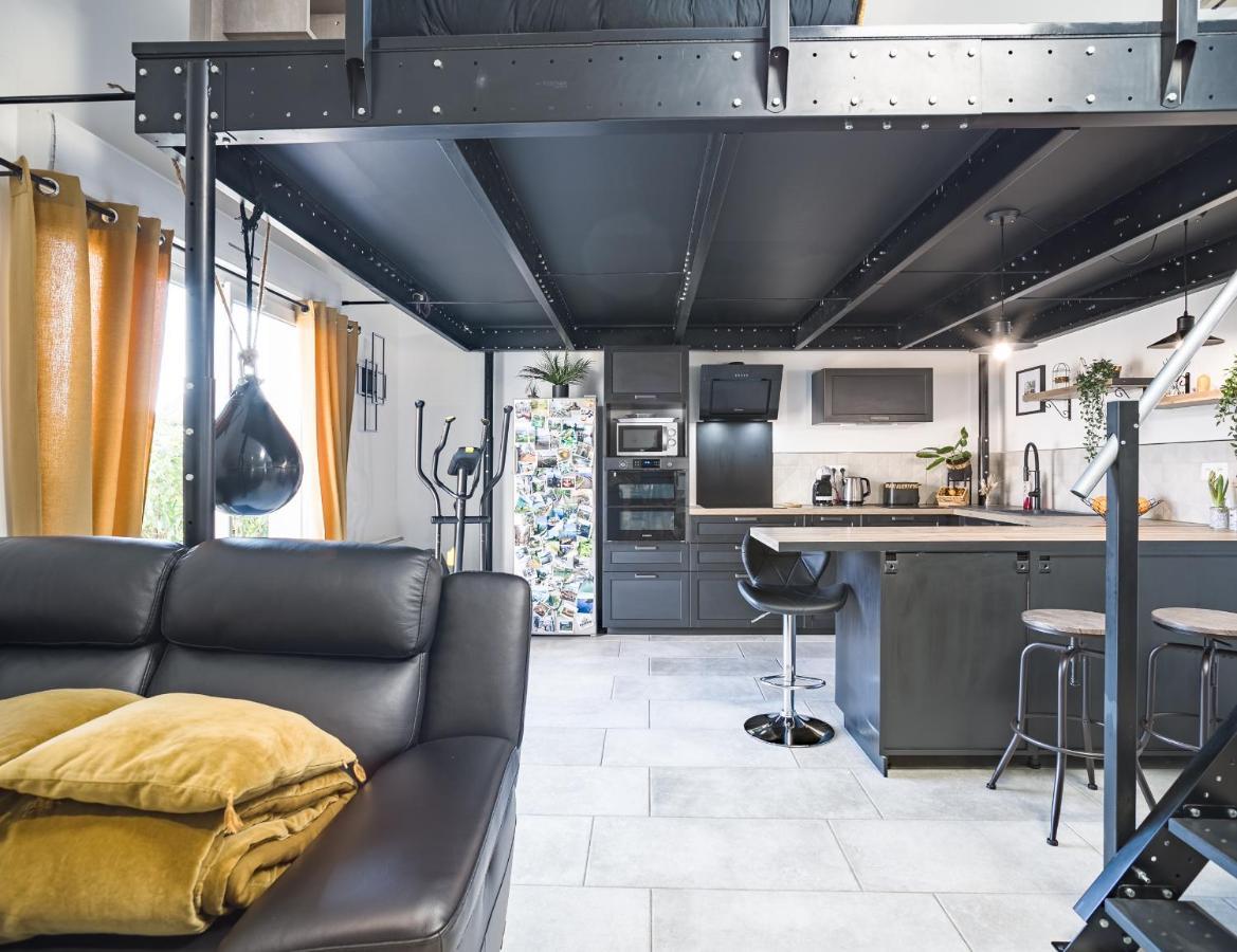 Apartament Loft Avec Jardin Et Parking Prive Troyes Zewnętrze zdjęcie